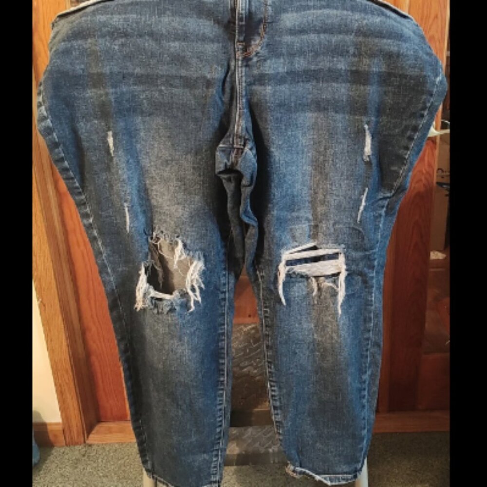 Maurice Distressed Jeans Plus Size 24W Short